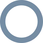 Circle S SVG Icon